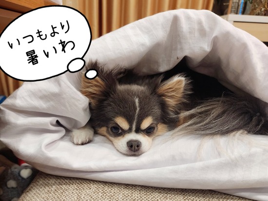 24-06-27-19-38-40-687_deco