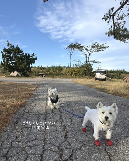 25-11-24-11-25-29-100_deco