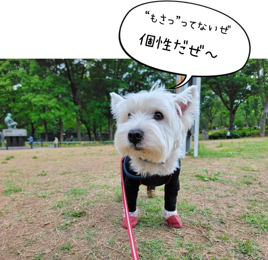 22-05-13-09-49-06-392_deco