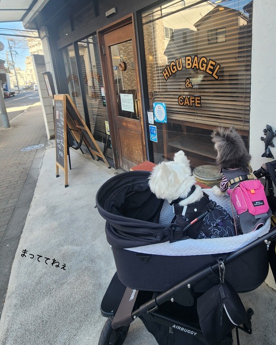 26-02-01-10-10-26-900_deco