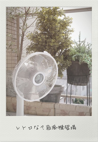 22-07-02-12-09-16-099_deco