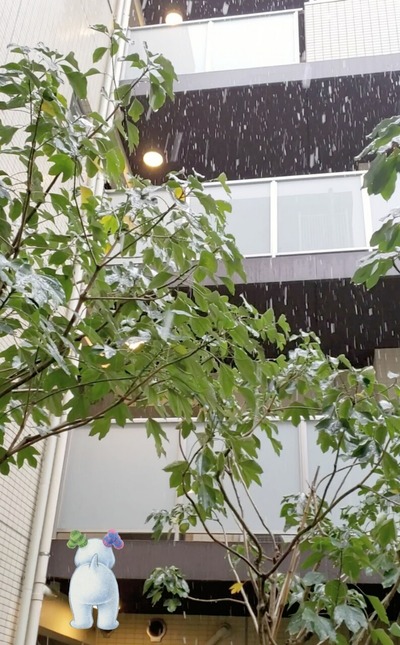 21-01-29-08-04-38-586_deco