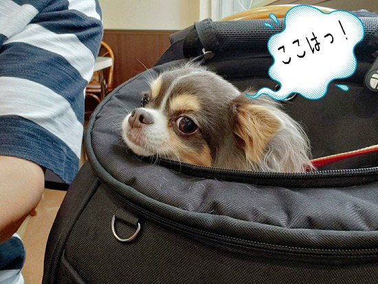 21-07-02-20-34-07-423_deco