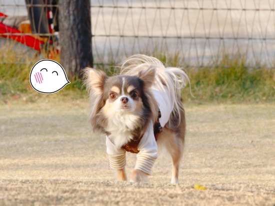 21-12-02-14-00-08-311_deco