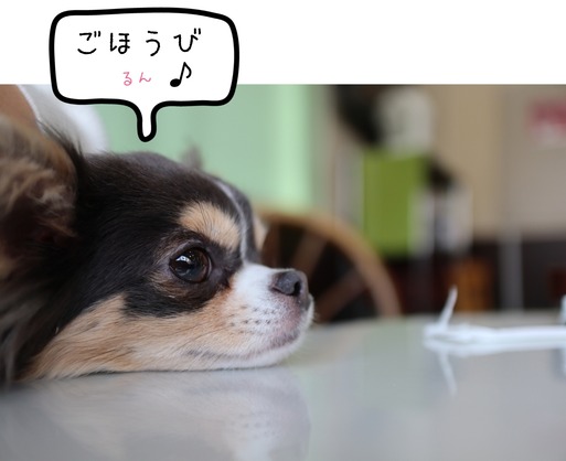 19-03-22-14-46-18-452_deco