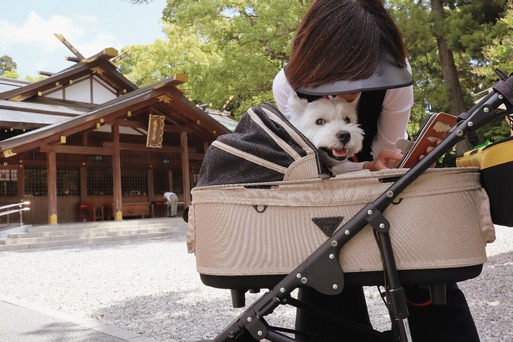 【犬と三重の旅】猿田彦神社へいったぞ～。と、初ご朱印。