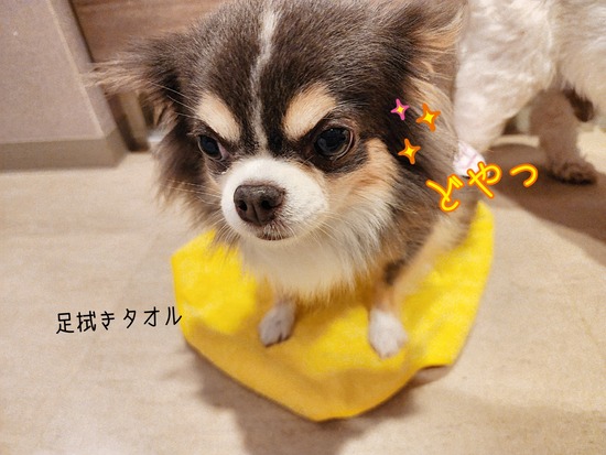 24-09-23-19-27-57-958_deco