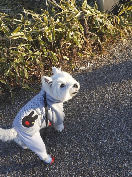 23-03-02-11-25-39-555_deco