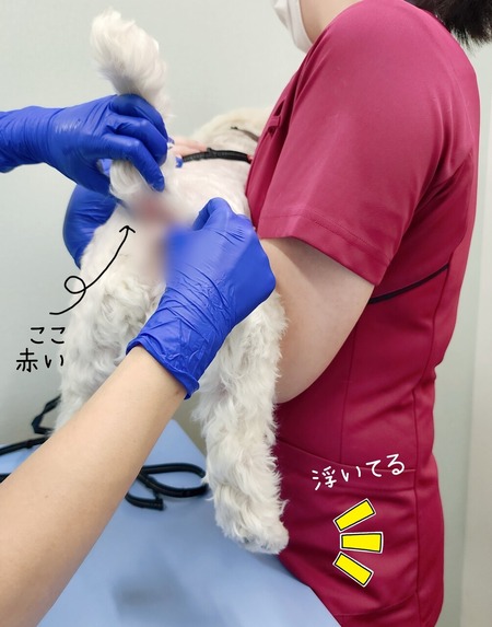 23-07-26-21-32-41-365_deco