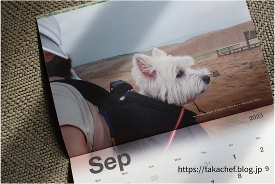 22-09-27-14-35-34-958_deco