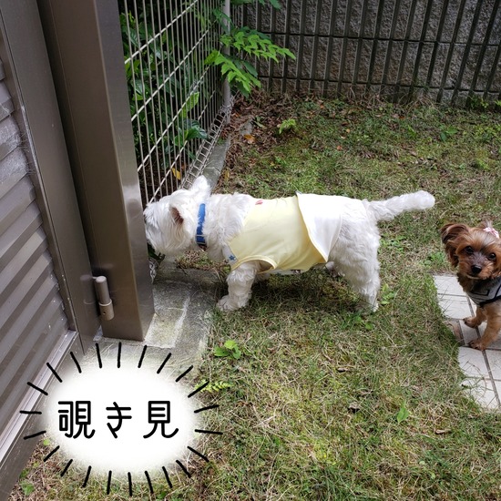 21-05-29-01-08-07-719_deco