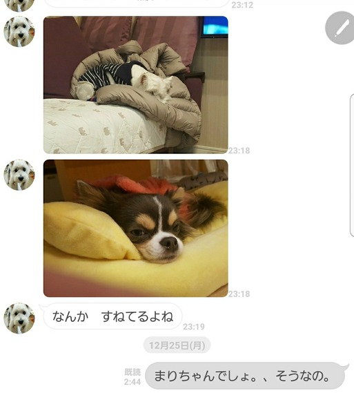 Screenshot_20171227-224039