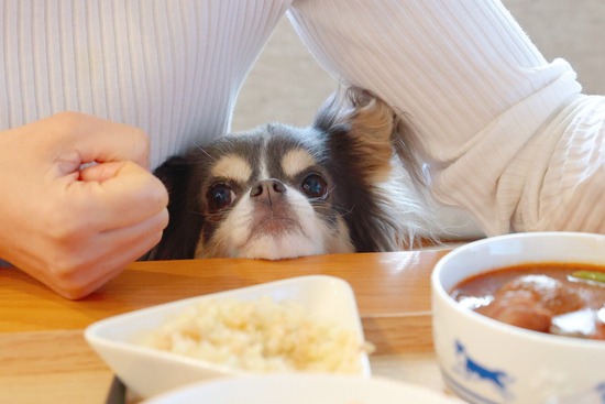 22-03-28-12-01-02-439_deco