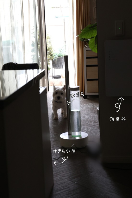 Point Blur_20220426_095425