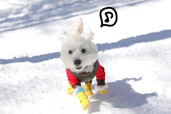 22-03-02-09-33-25-646_deco