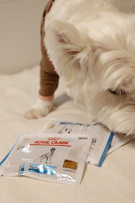 24-08-31-20-06-46-638_deco