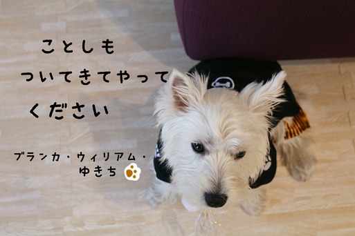 初めての元旦休み！！発展系目標を立てる