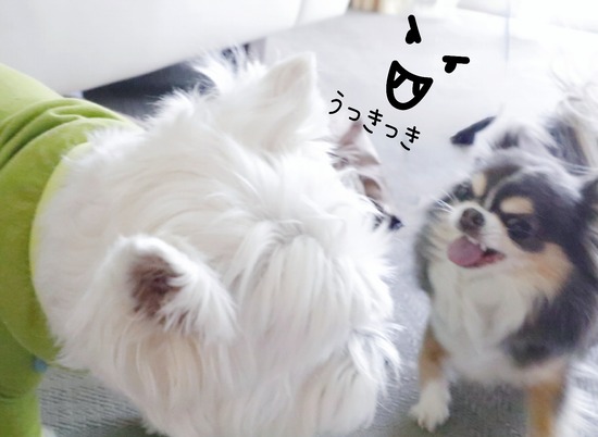 24-08-06-19-29-47-078_deco