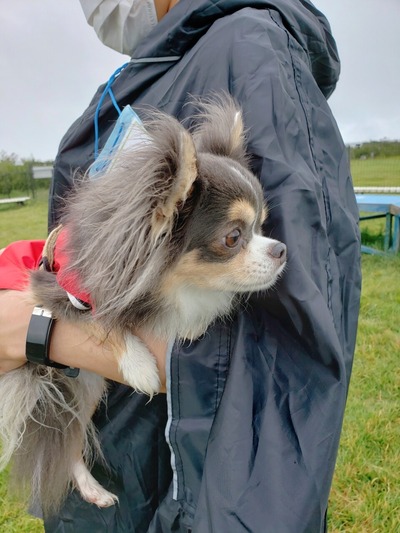 21-10-26-08-23-25-032_deco