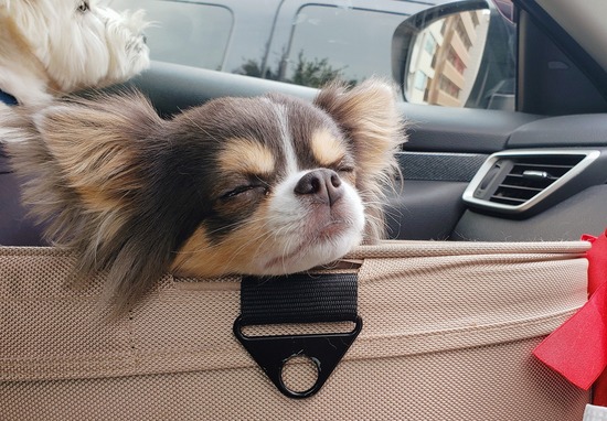 2020-10-28-112323788