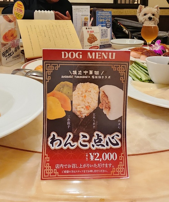 26-01-05-10-03-07-183_deco