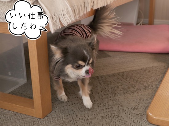 21-03-11-20-37-53-059_deco