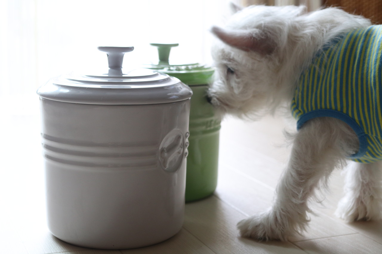 ルクルーゼのペットフードコンテナー たかシェフのおうちごはん と 白い犬 と チワワ Powered By ライブドアブログ ルクルーゼのペットフードコンテナー たかシェフのおうちごはん と 白い犬 と チワワ Powered By ライブドアブログ