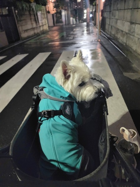 22-10-13-18-49-33-173_deco