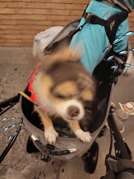 22-10-13-18-53-19-071_deco