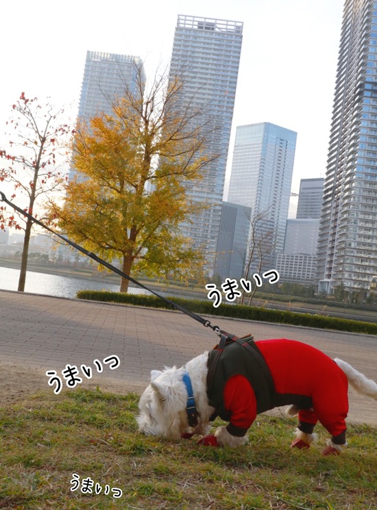 21-12-03-14-30-20-272_deco