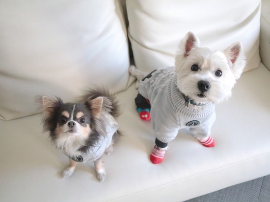 22-10-08-19-36-10-844_deco