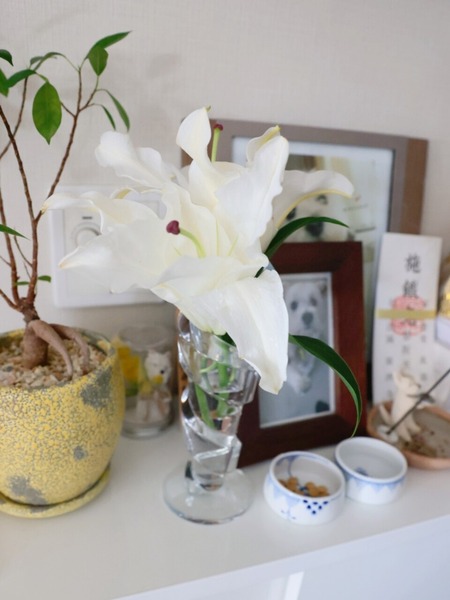 23-02-18-03-24-03-435_deco