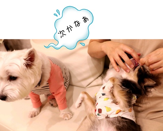 21-09-11-21-17-32-580_deco