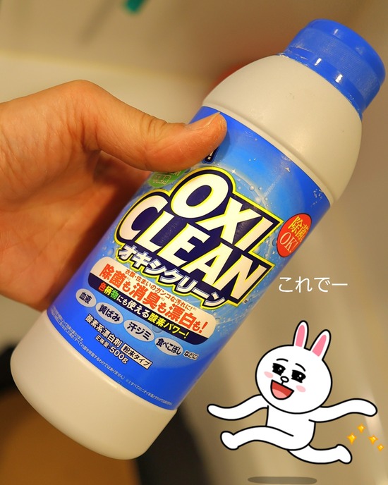 実験。エアーバギーを洗ってみるとこにしました。