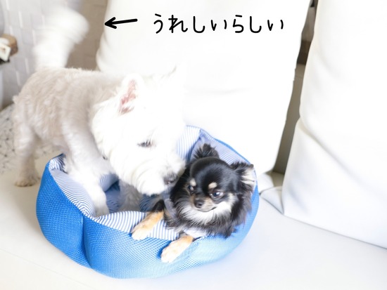 21-10-06-08-33-14-466_deco