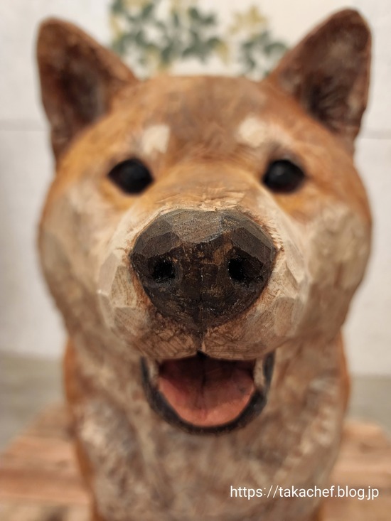 22-10-19-17-08-39-718_deco