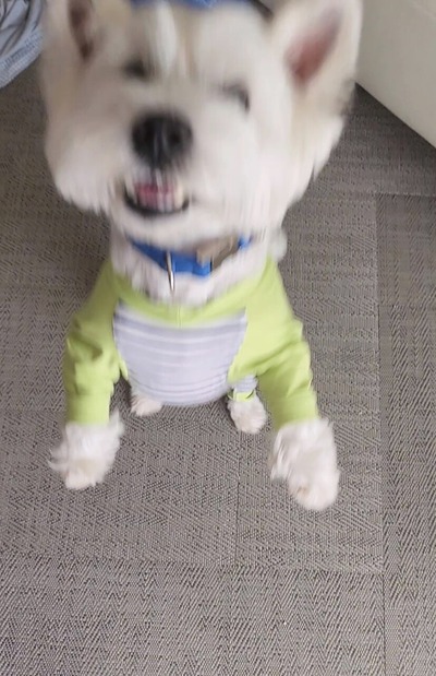 22-06-13-20-06-35-549_deco