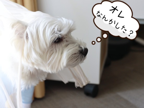 22-05-10-11-56-11-222_deco