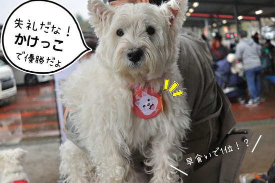 25-10-30-09-23-43-012_deco