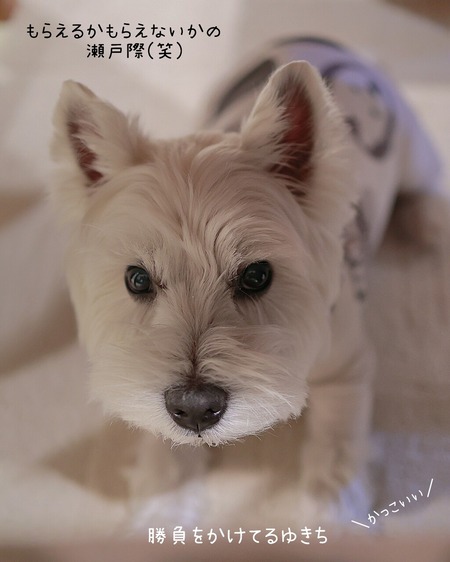 26-01-07-11-50-27-057_deco