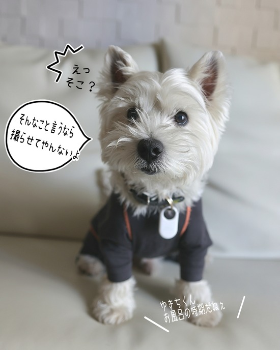 26-02-04-18-14-09-587_deco