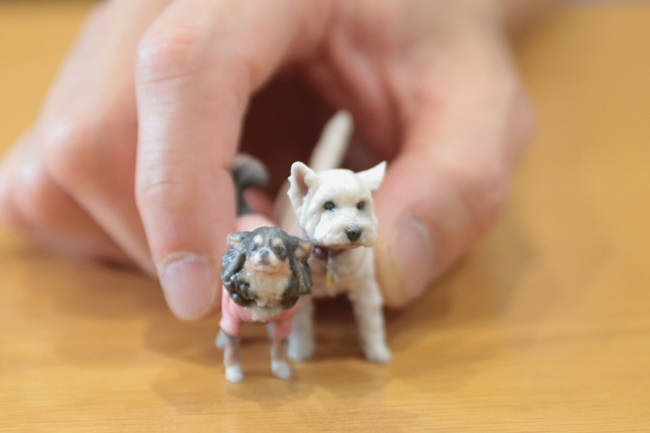 チワワ ウエスティ ３dコピーフィギアが 思ったより感動だった件 ちょっと写真を追記しました たかシェフのおうちごはん と 白い犬 と チワワ Powered By ライブドアブログ