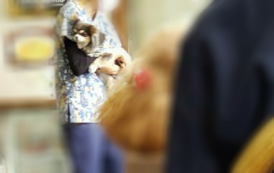 Point Blur_20210506_162905