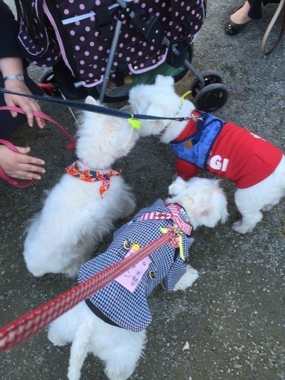 o0480064013570246644