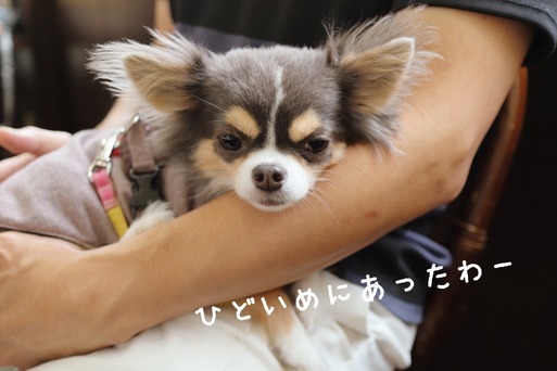 19-09-12-01-36-28-061_deco