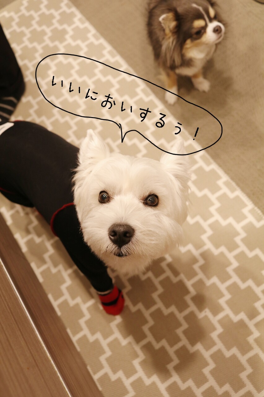 皮膚 ささみおやつ作り たかシェフのおうちごはん と 白い犬 と チワワ Powered By ライブドアブログ 皮膚 ささみおやつ作り たかシェフのおうちごはん と 白い犬 と チワワ Powered By ライブドアブログ