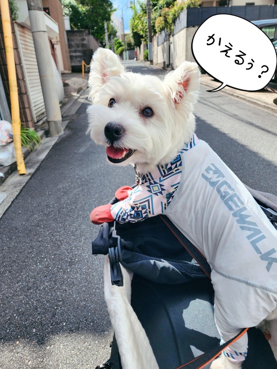 24-09-23-19-14-54-037_deco