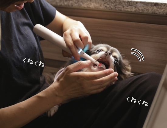 24-08-20-10-00-51-143_deco