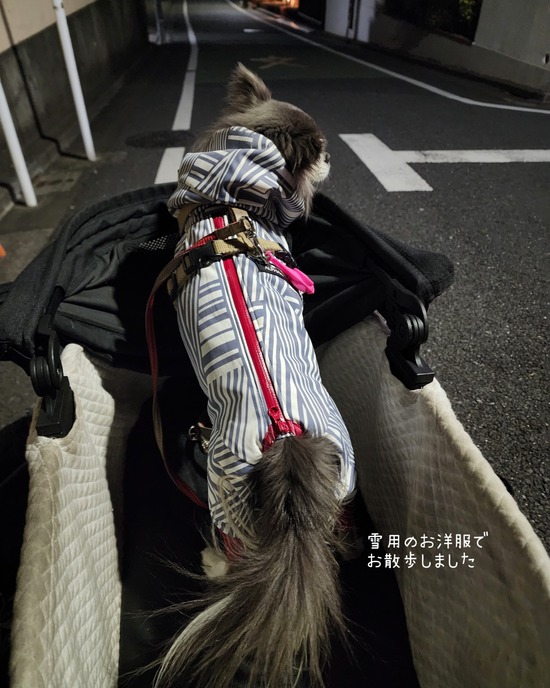 26-01-14-07-15-02-611_deco