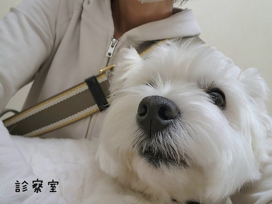 23-05-14-21-21-46-350_deco